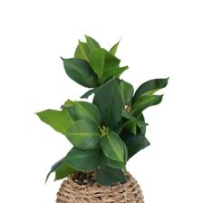 ARTIFICIAL POTTED PLANT - 592-540018