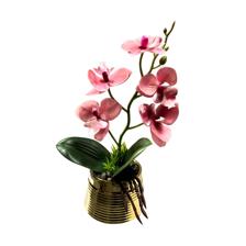 ORQUÍDEA FUCSIA C/POTE - 592-540021