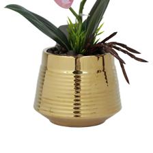 ORQUÍDEA FUCSIA C/POTE - 592-540021