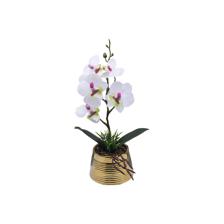 ORQUÍDEA BLANCA C/POTE - 592-540024