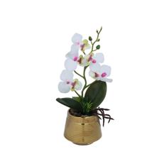 ORQUÍDEA BLANCA C/POTE - 592-540024