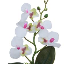 ORQUÍDEA BLANCA C/POTE - 592-540024