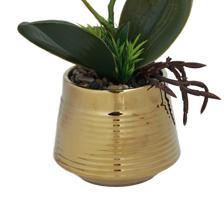 ORQUÍDEA BLANCA C/POTE - 592-540024