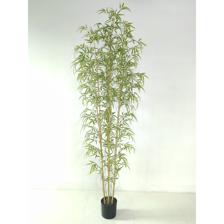 BAMBU 65X65X210 CM - 592-550009