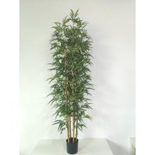 BAMBU 65X65X180 CM - 592-550012