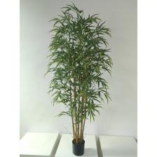 BAMBU 95X90X180 CM - 592-550015