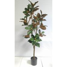 MAGNÓLIAS 60X60X150 CM - 592-550017