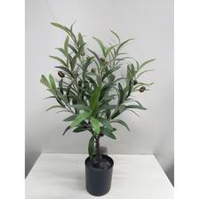 OLIVEIRA 40X35X55CM - 592-550018