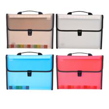 DIVIDERS EXPANDING FILE WITH HANDLE CLIP - 780-6994669