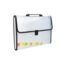 DIVIDERS EXPANDING FILE WITH HANDLE CLIP - 780-6994670