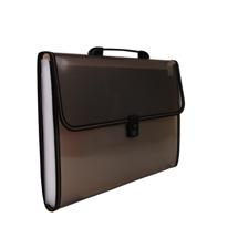 DIVIDERS EXPANDING FILE WITH HANDLE CLIP - 780-6994670