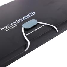 DIVIDERS EXPANDING FILE WITH ELASTIC - 780-6994678