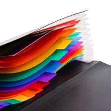 DIVIDERS EXPANDING FILE WITH ELASTIC - 780-6994678