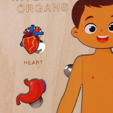 ROMPECABEZAS EDUCATIVO NIO/NIA - 780-8464556