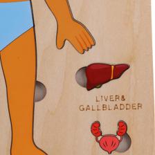 ROMPECABEZAS EDUCATIVO NIO/NIA - 780-8464556