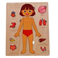 ROMPECABEZAS EDUCATIVO NIO/NIA - 780-8464556