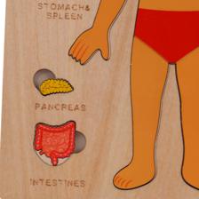 ROMPECABEZAS EDUCATIVO NIO/NIA - 780-8464556