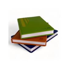 60PCS/CTN A5 2025 DIARY 180 SHEETS 60gsm WHITE PAPER 2 COLOR - 783-2033188