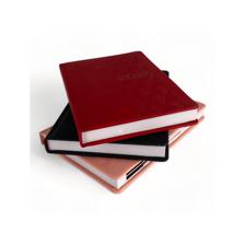 60PCS/CTN A5 2025 DIARY 182 SHEETS 60gsm WHITE PAPER 2 COLOR - 783-2033194