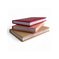 60PCS/CTN A5 2025 DIARY 180 SHEETS 60gsm WHITE PAPER 2 COLOR - 783-2033202
