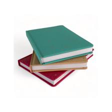 AGENDA 2025 A5 DIARIA PAPEL BLANCO 180 HOJAS - 783-2033205