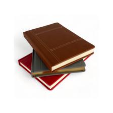 DIÁRIO DIÁRIO 2025 A5, BORDA DOURADA, PAPEL AMARELO, 184 FOLHAS - 783-2033209