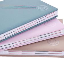 2027 DIARY WITH BELLY BAND ANDDISPLAY BOX - 783-2033317