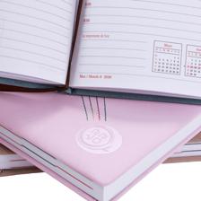 2027 DIARY WITH BELLY BAND ANDDISPLAY BOX - 783-2033317