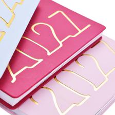 2027 DIARY WITH BELLY BAND ANDDISPLAY BOX - 783-2033324