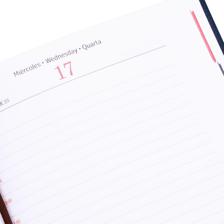 2027 DIARY WITH BELLY BAND ANDDISPLAY BOX - 783-2033333