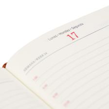 2027 DIARY WITH OFFSET MAP, BELLY BAND, DISPLAY BOX - 783-2033345