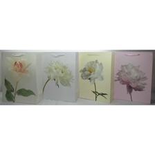 BOLSA DE REGALO GRANDE OCASION 31x44x12 - 786-8532041