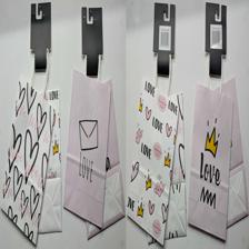 BOLSA DE REGALO SET 2PZA PEQUENA OCASION 16*22*8 - 786-8532348