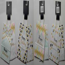 2 PIECE SMALL OCCASION GIFT BAG SET 16X22X8 - 786-8532349