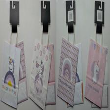 2 PIECE SMALL OCCASION GIFT BAG SET 16X22X8 - 786-8532351