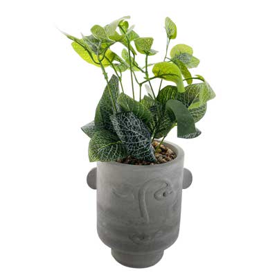 PLANTA C/POTE 10X13X26CM