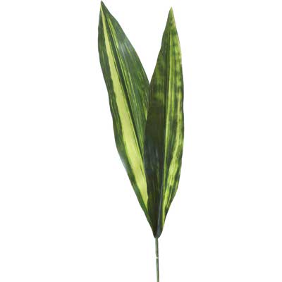 RAMO X65CM