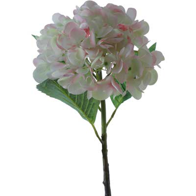 HORTENSIA ART. X51CM