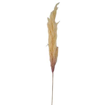 PLANTA ARTIF.