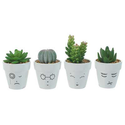 POTE C/PLANTA 4SURT