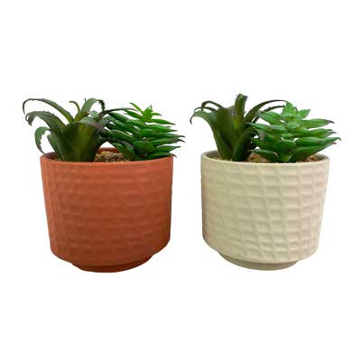 POTE 2 SURT 12X12X16CM