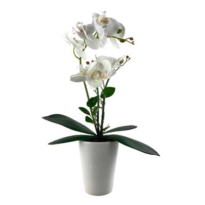 PLANTA C/POTE 28X16X54CM