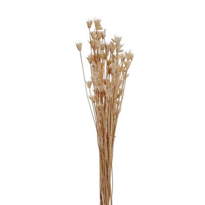RAMA SECA 13X68CM