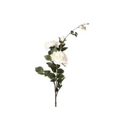 PEONIA ART. 89 CM