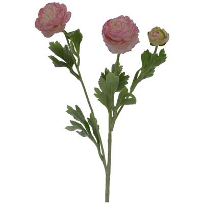 FLOR DECOR