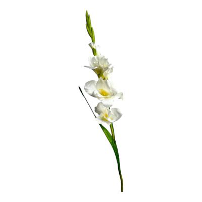 GLADIOLA DECOR