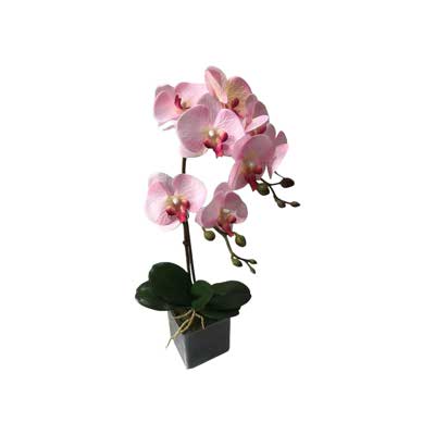 ORQUIDEA ARTIFICIAL 10X52CM