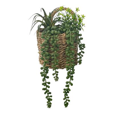 PLANTA C/POTE 12X12X19CM