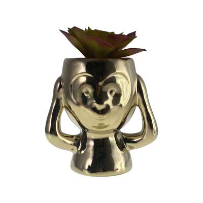 PLANTA 8.5X10X15.5CM