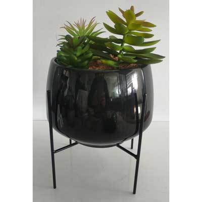 PLANTA 18.5X18.5X28CM